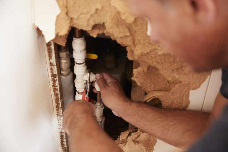 Plumber Repairing a Leak