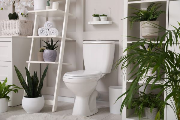 Toilet Repair in Athens