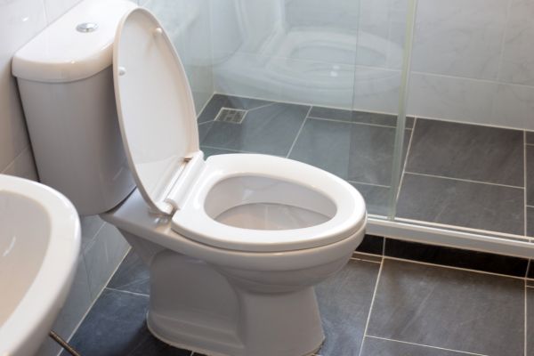 Toilet Replacement in Athens