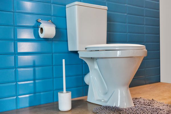 Toilet Tank Repair in Athens